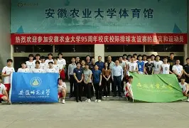 排球友谊赛掀起高潮，瓯越白虎队强势横扫皖南天狼队，老将里程碑之夜——韧性与执行并存的简单介绍